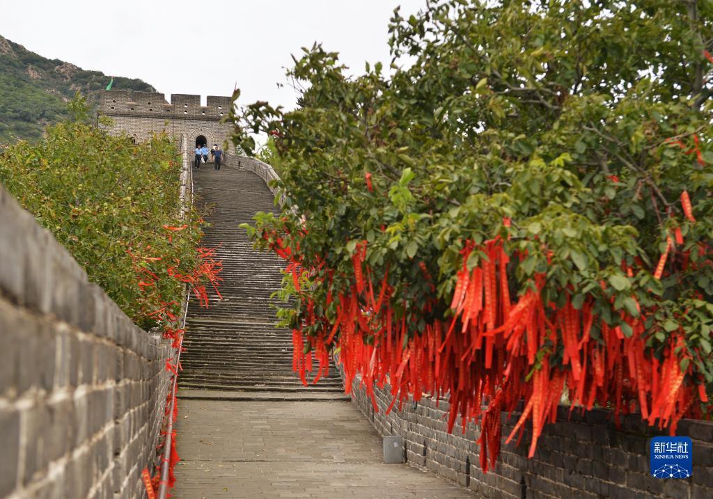 白菜送彩金大全网